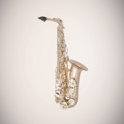 Book an appointment with a woodwind technician