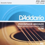 D'Addario EJ16 12-53 Phosphor Bronze