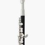 Eastman EPC260 Piccolo w/ Plastic Body and Silver-Plated Headjoint
