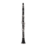 Eastman  Plastic Clarinet Model ECL230