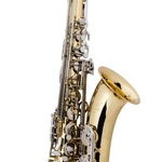 Selmer  Student Tenor Sax, Model TS400