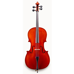 Eastman VC100ST Cello 4/4 Outfit
