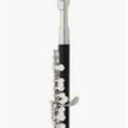 Eastman EPC260 Piccolo w/ Plastic Body and Silver-Plated Headjoint