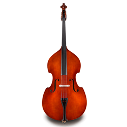 Eastman VB80BST Bass Violin 3/4