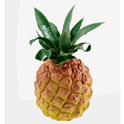 Nino Percussion NINO595 Fruit Shakers, pineapple
