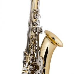 Selmer  Student Tenor Sax, Model TS400