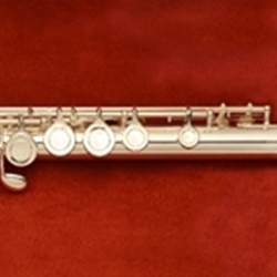 Di Zhao Flutes  Model DZ220 Student Flute