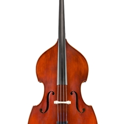 Eastman VB95 Bass Violin w/ Carved Top 4/4